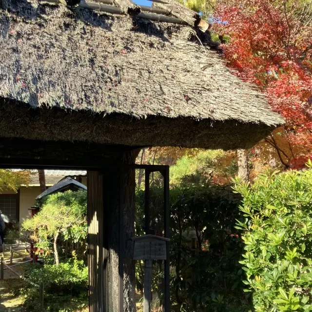 鎌倉穴場の紅葉スポットの画像_3