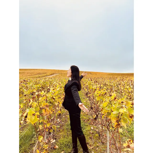 紅葉したぶどう畑