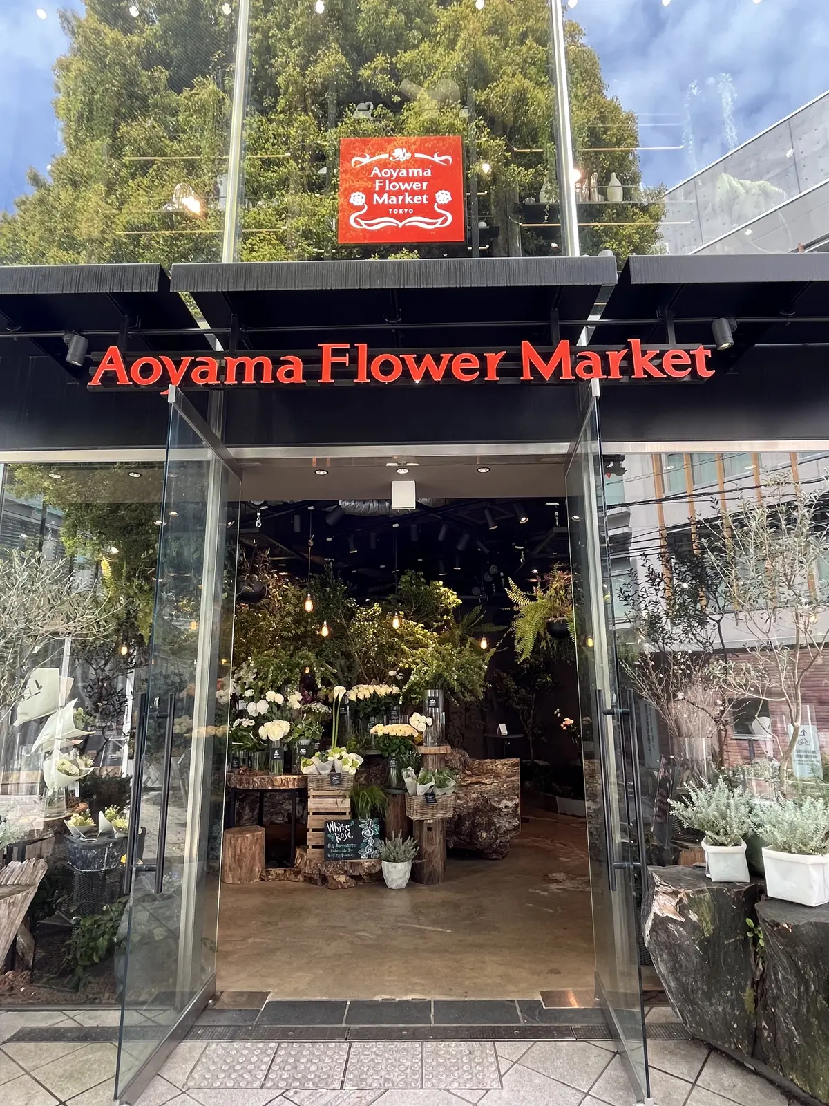 早起きをして朝活への画像_8