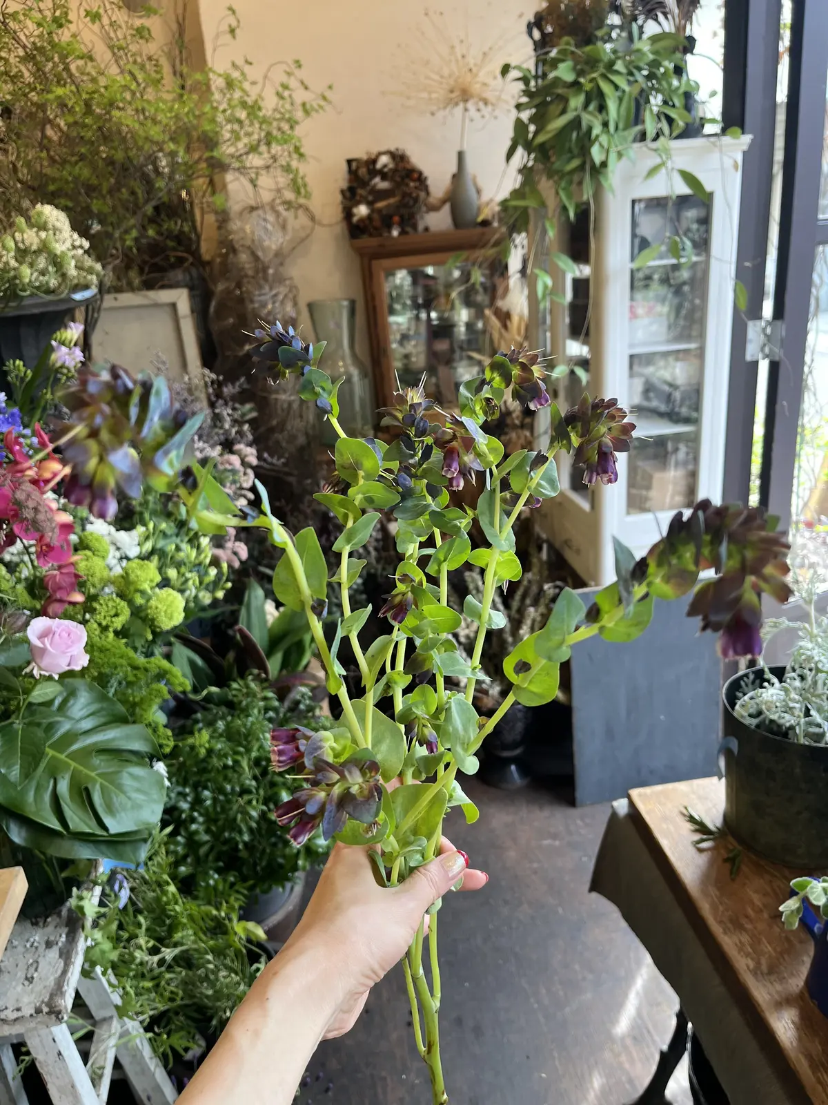 最近の〝花活〟の画像_8