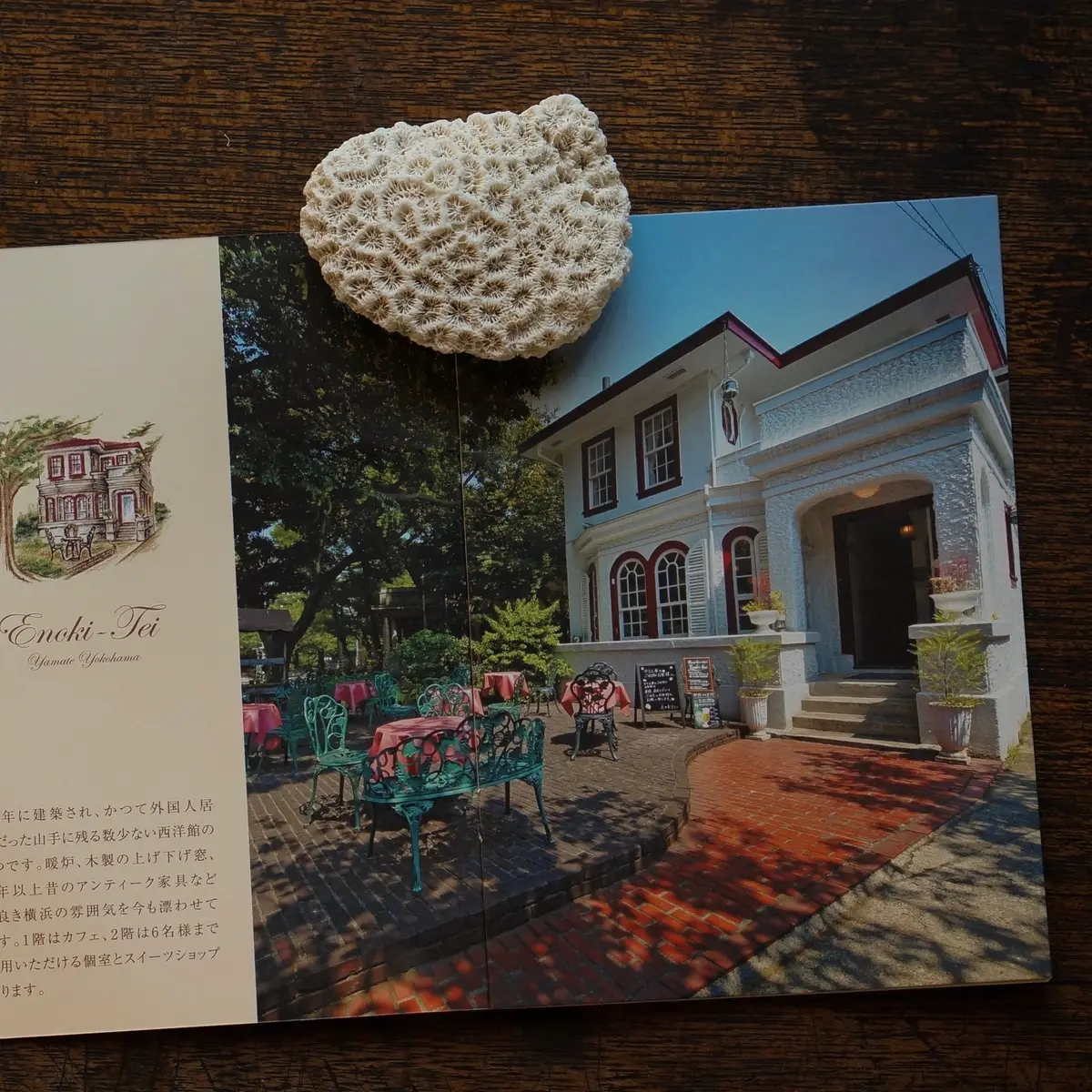 ポカポカ陽気に誘われて横浜への画像_2