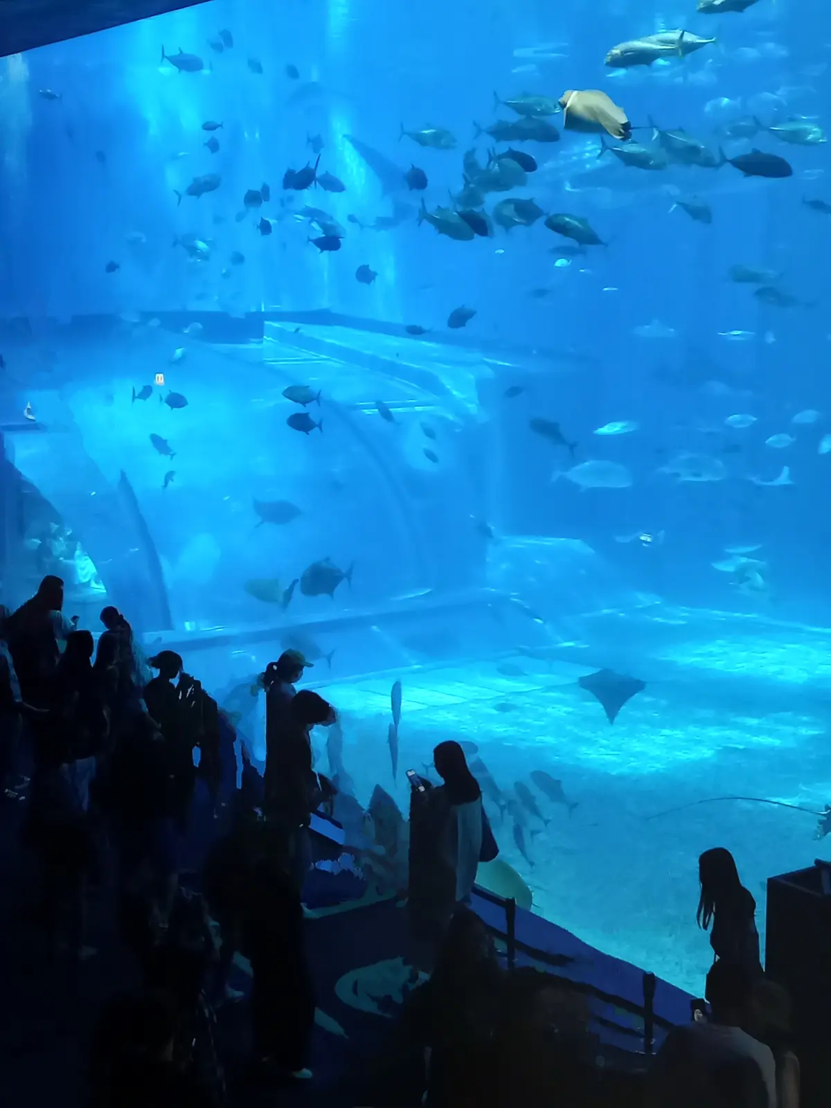 【沖縄】大人の修学旅行♡王道スポット＆沖の画像_19