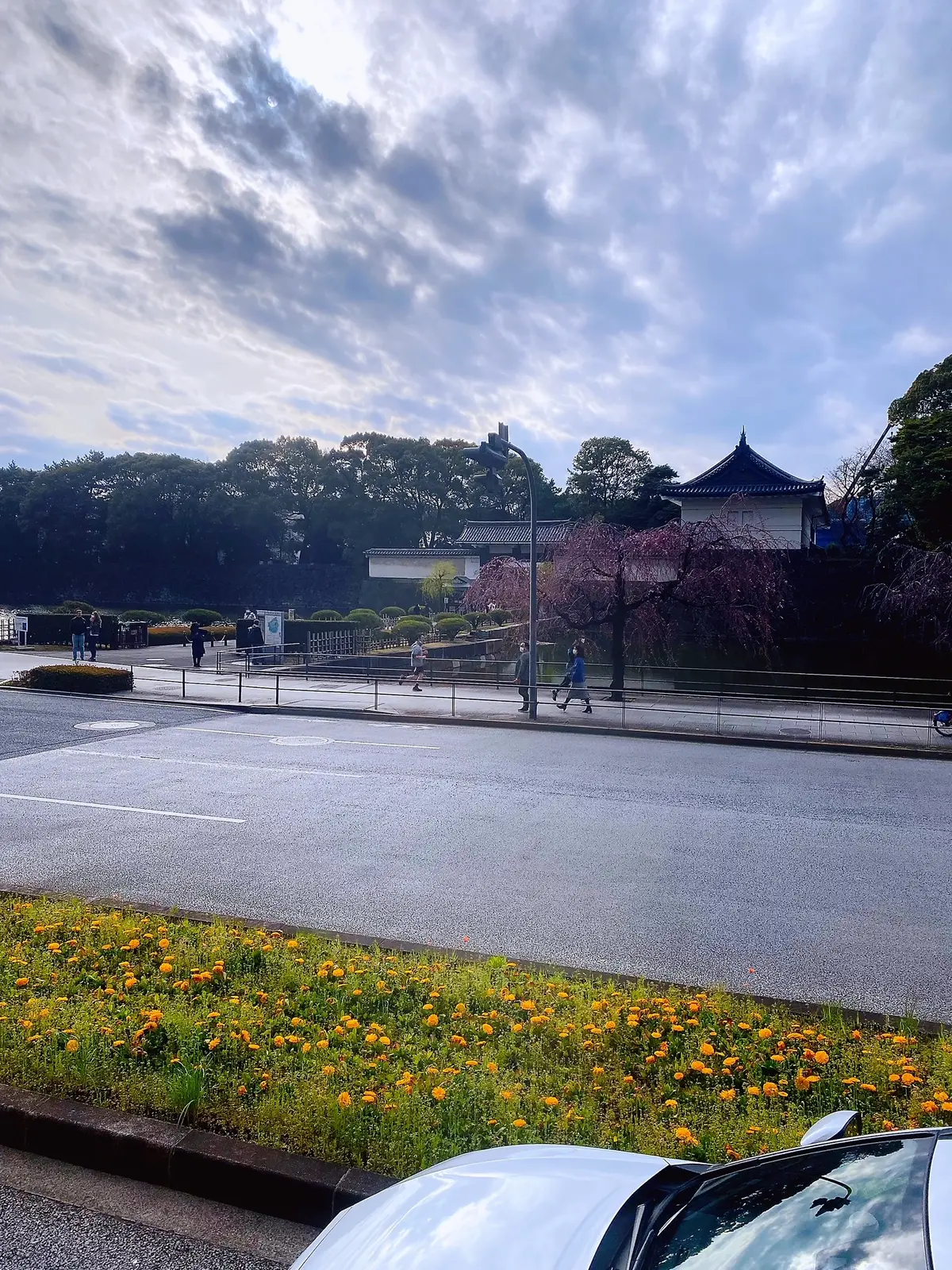 デニムシャツでハトバスに乗ってみました‼の画像_9