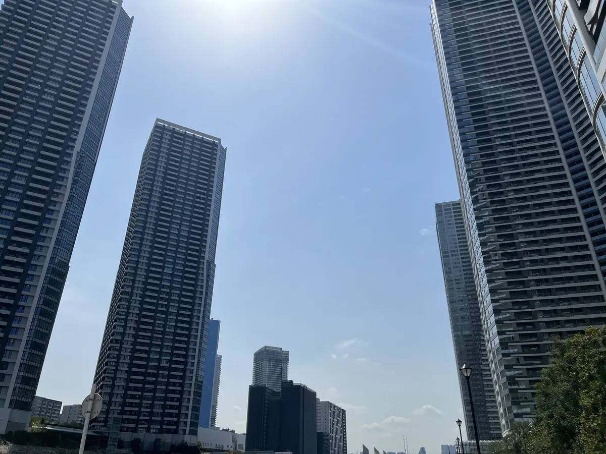 【勝どき〜スカイツリー〜お台場】お花見屋の画像_1