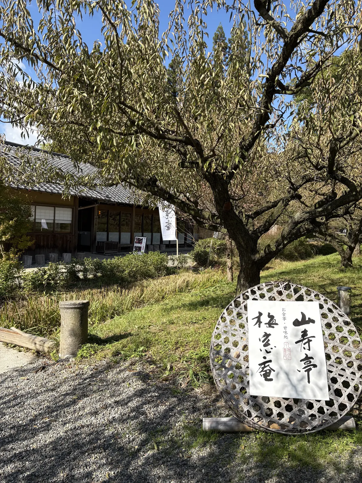 「父の誕生日ドライブ　―寿長生の里で過ごの画像_2