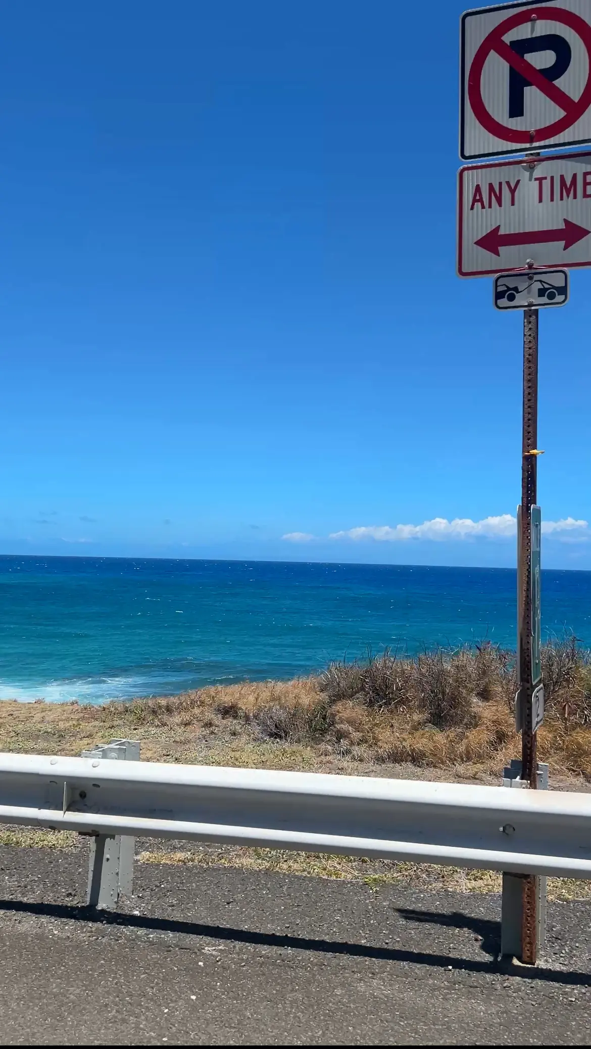 サマーバケーション in Hawaii の画像_10
