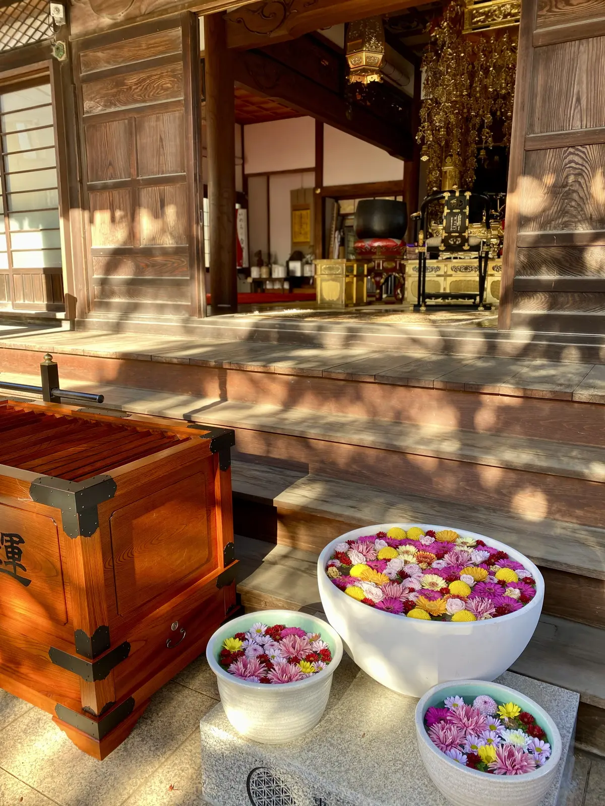 早稲田・法輪寺本堂前の花手水（菊の浮かぶ鉢）｜春夏秋冬で装いが変わる人気の花手水スポット｜早稲田散歩で訪れたいフォトジェニックなお寺