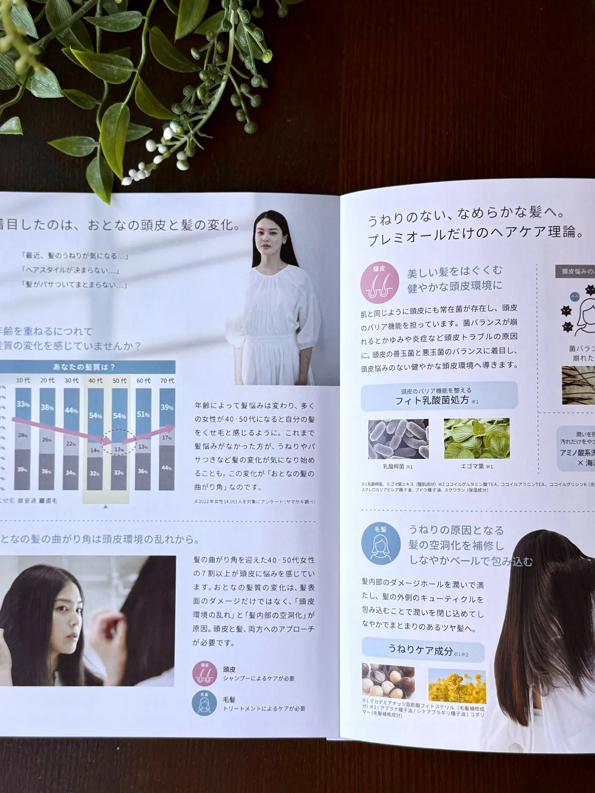 ソワレ・ドゥ・エクラ 　ザ・ストリングス表参道　お土産　ラサーナ　プレミオール　うねりケア　ヘアケア　頭皮菌ケア　頭皮ケア