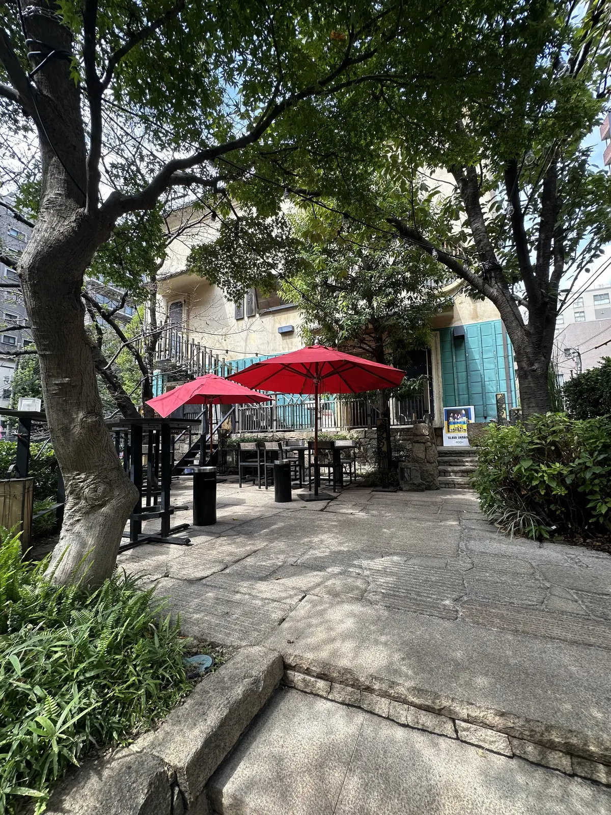 たまには居酒屋で女子会も良いんじゃない＠の画像_1