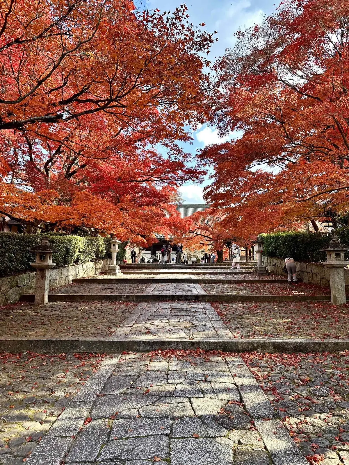 【大人の京都】寺院仏閣とお気に入りの秋のの画像_49