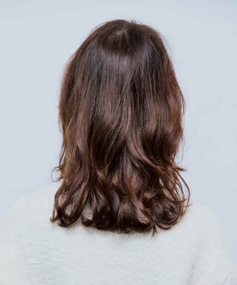 Webエクラ 後から見たミディアムヘアスタイル