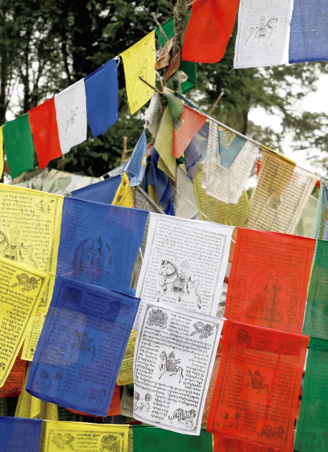 幸せを願う5色の祈祷旗「ルンタ」は、風が通る場所の樹々に結びつけられている。「ルンタ」とは風の馬の意味