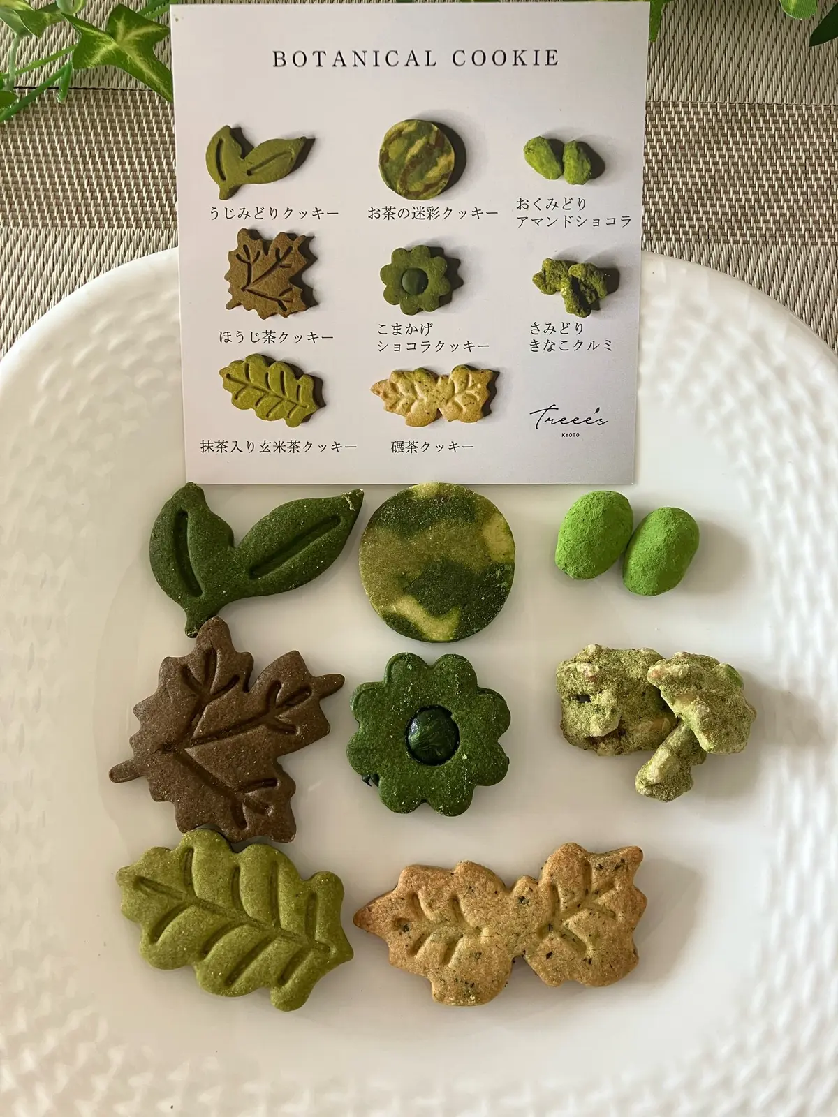 お取り寄せスイーツ　京都お取り寄せ　抹茶スイーツ　京都抹茶　treees ボタニカルクッキー　jマダムブログ　