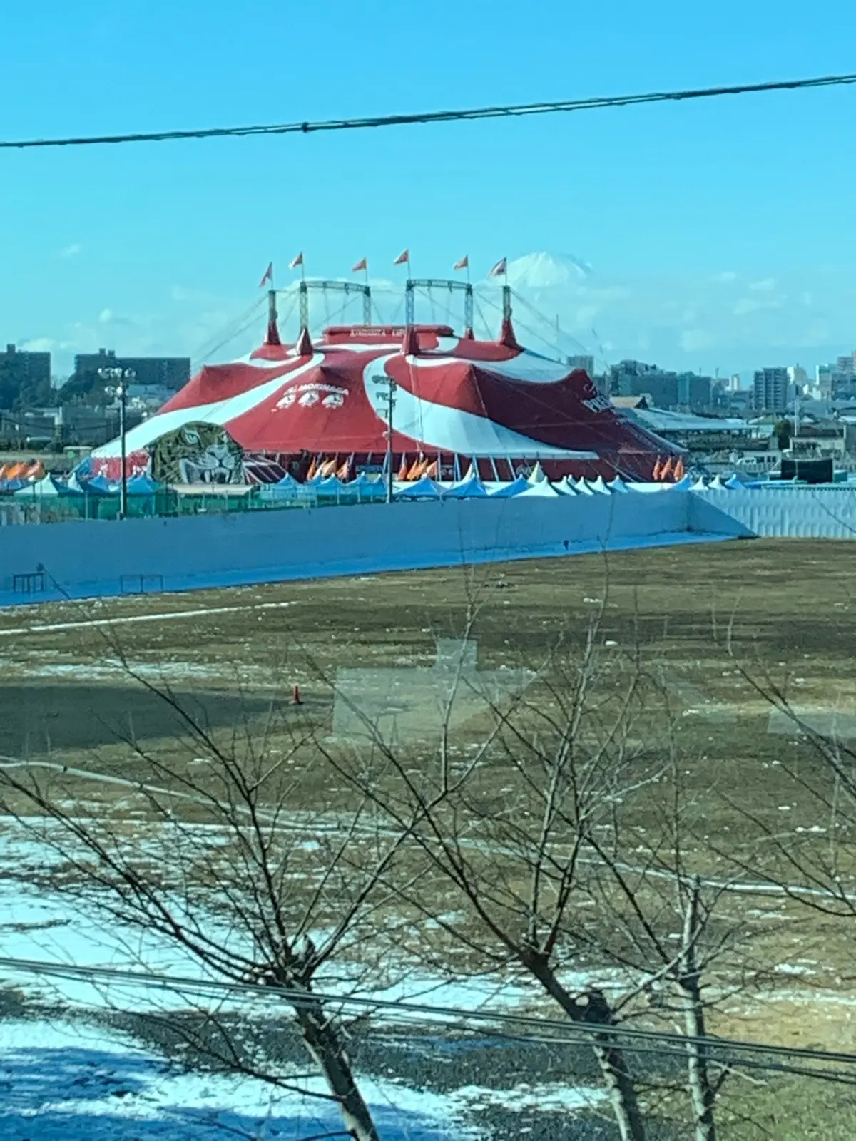 サーカス！の画像_3