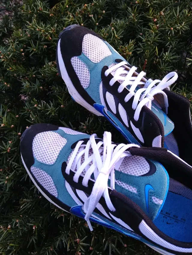 植え込みとエアマックス