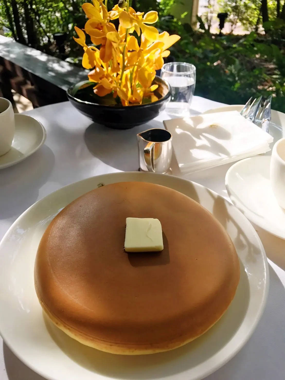 秋のお出かけの画像_4