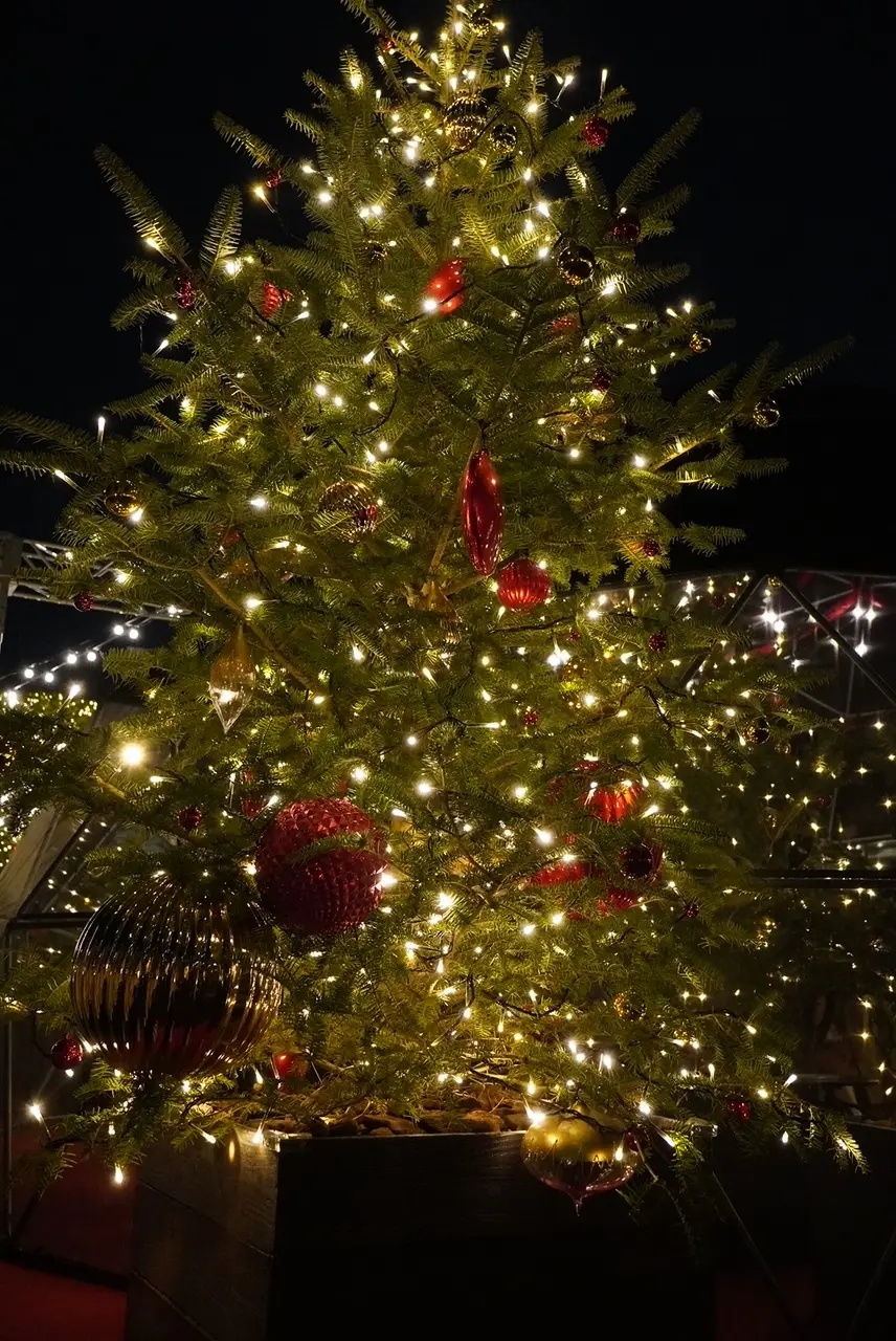 Baccarat ETERNAL LIGの画像_2