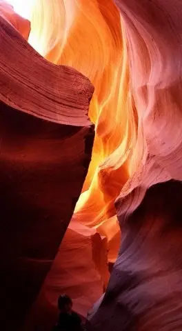 新年だから...バケットリストを作ってみの画像_5