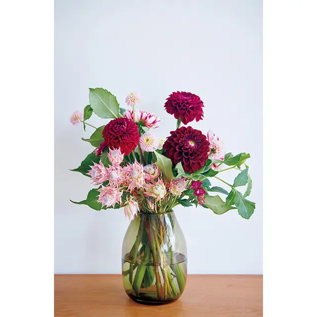 ダリアの色みに合わせながら、花姿やボリュームの違いで心地よいリズムが