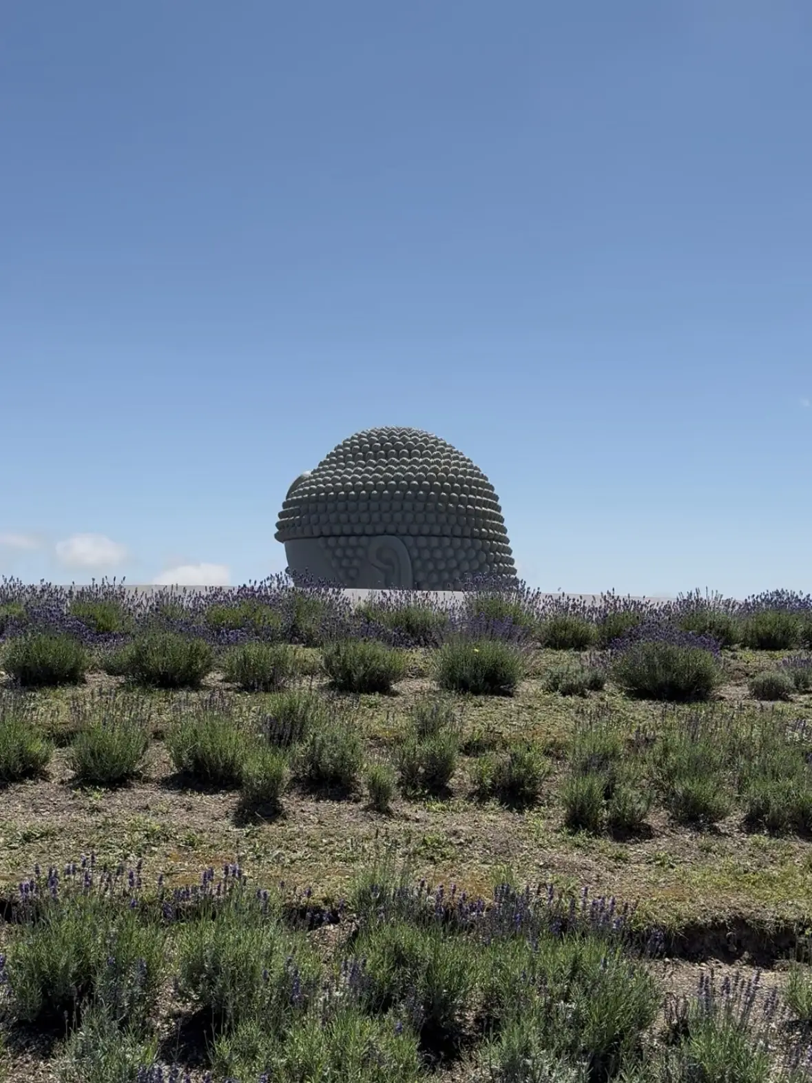 札幌で出会った建築美。真駒内滝野霊園『頭の画像_4