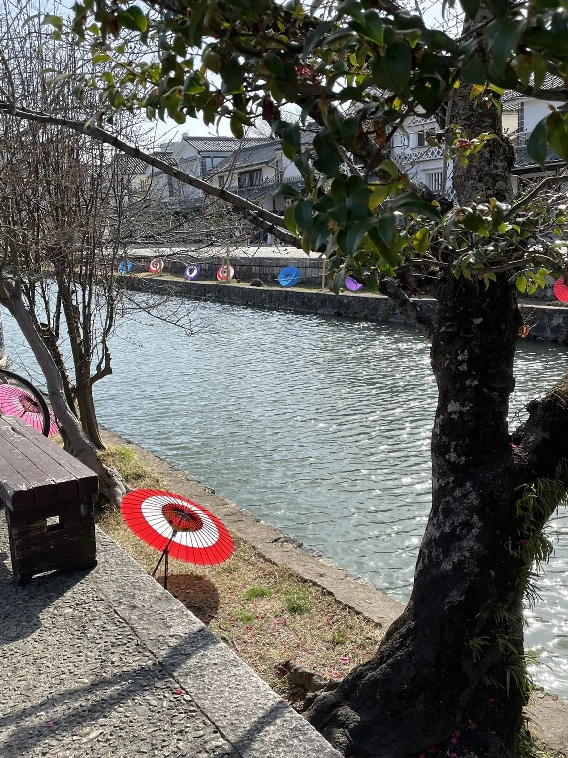 春あかりと鮮やかブルーグラデーションの画像_3