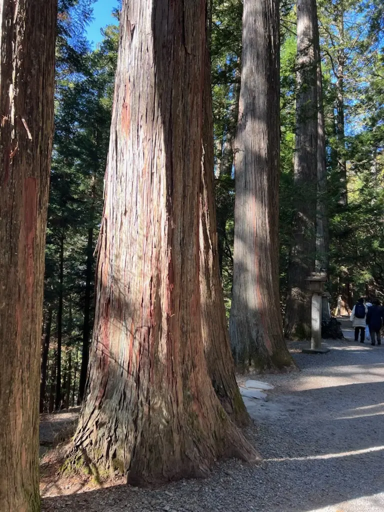 ZARAのダウンで♥パワースポットの三峯の画像_5