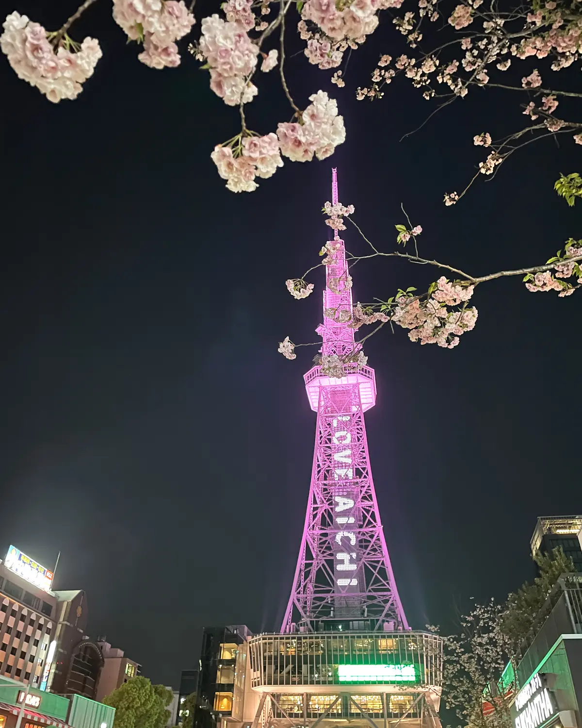 おひとり様の葉加瀬太郎コンサート♪の画像_2