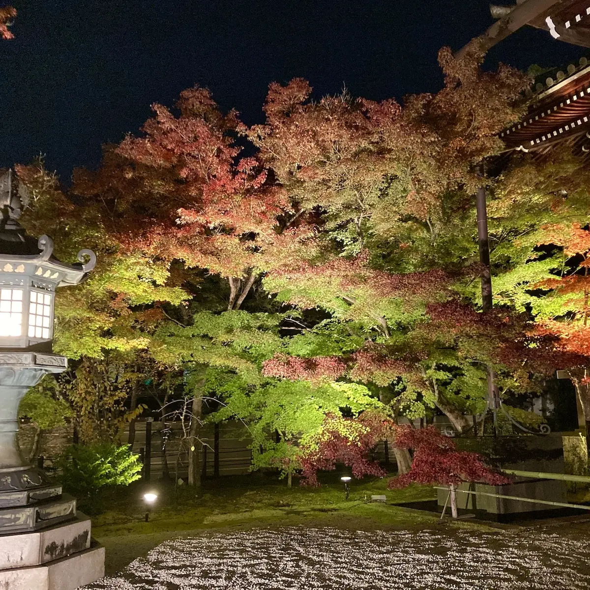 京都　紅葉　永観堂