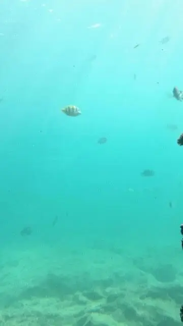 宮古島海中水族館