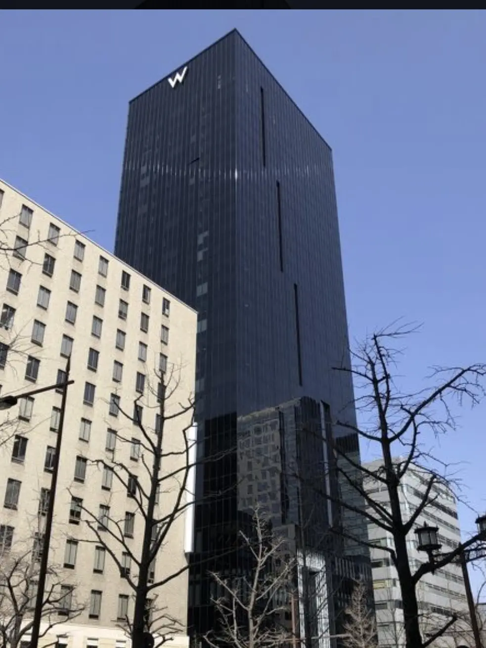 イルミネーションが煌びやかな御堂筋✨「Wの画像_1