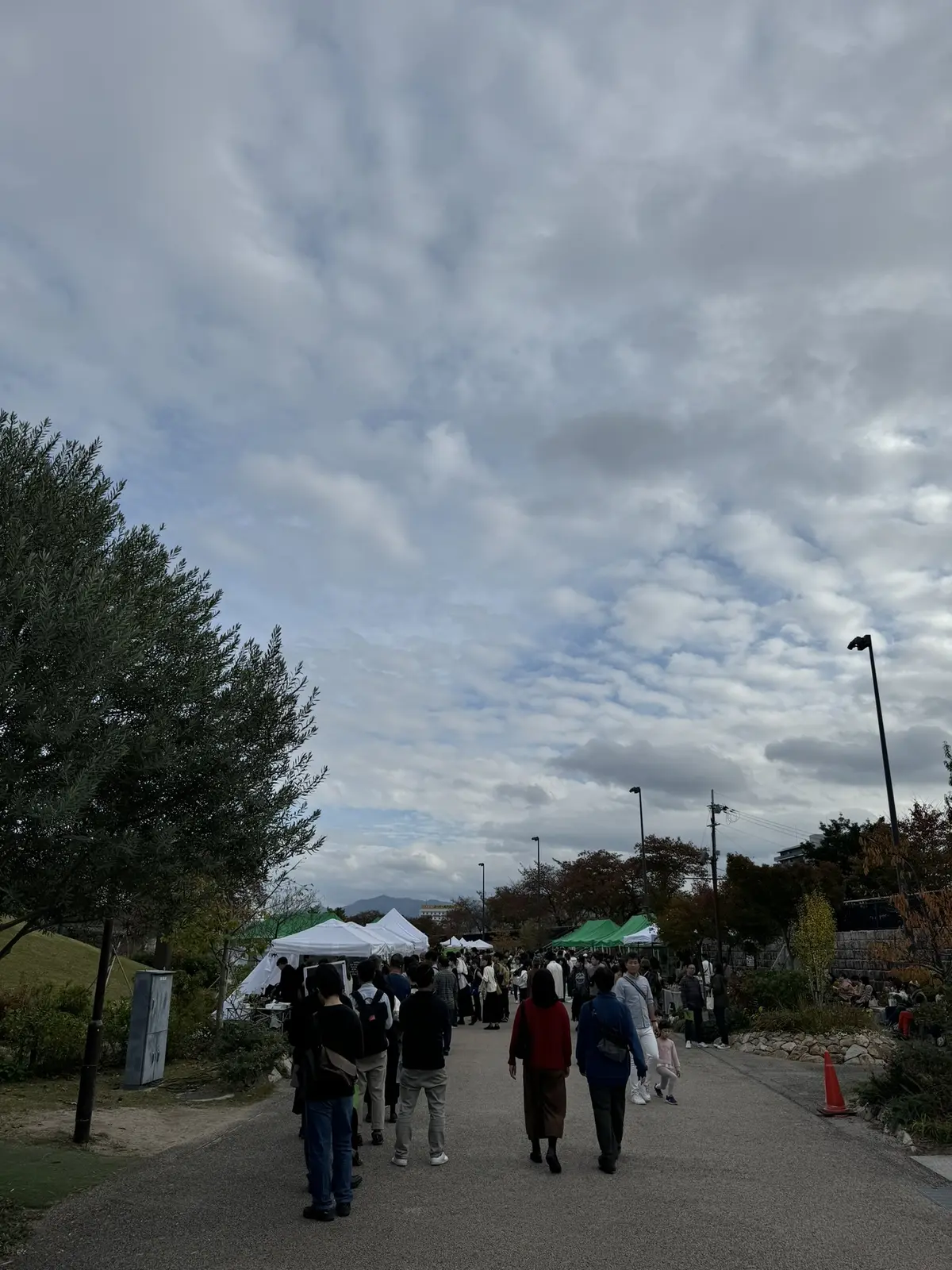 秋空と、JAZZと、COFFEEと。の画像_2