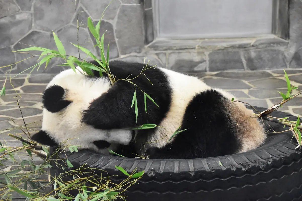 アラフィー女性のホンネ：穴があったら、入の画像_1