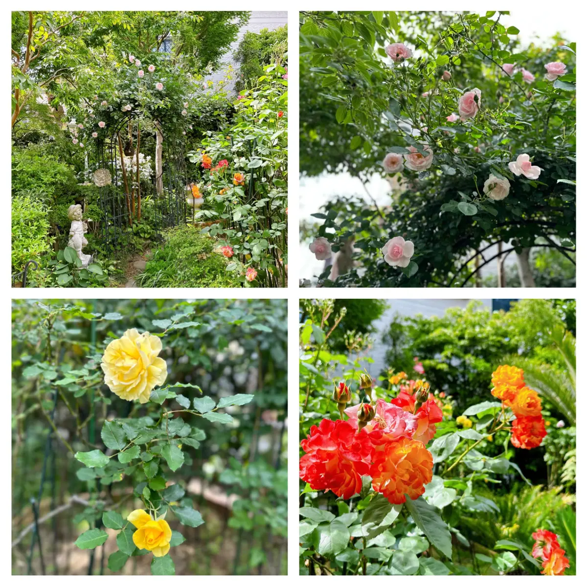 UNIQLOのリネンジャケットで初夏コーの画像_5