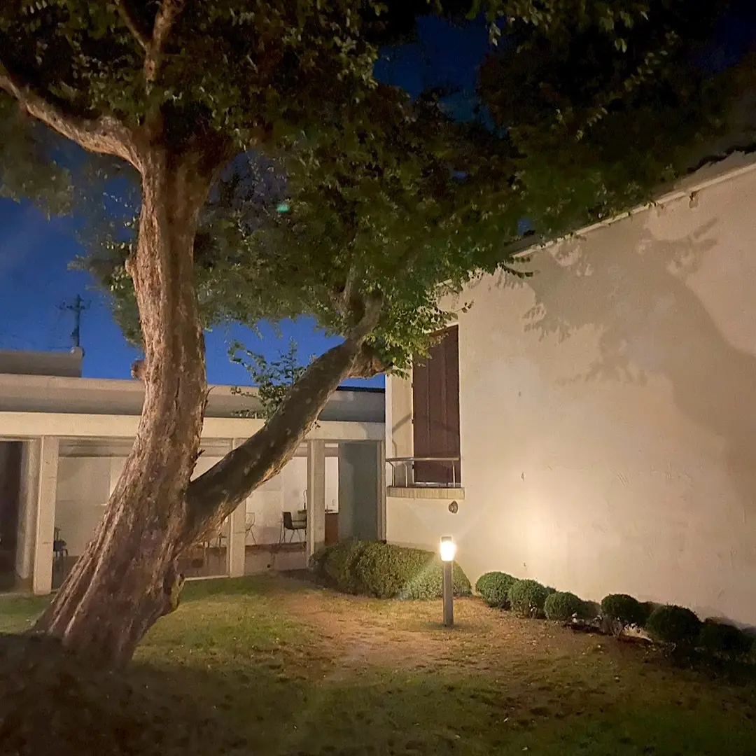 再会in岡山vol.2の画像_1