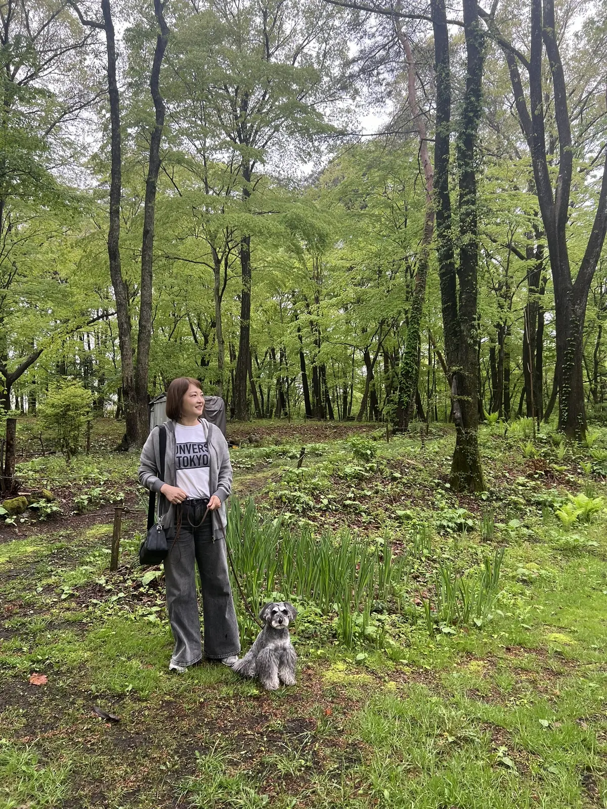 ルオムの森　梅澤千佳子