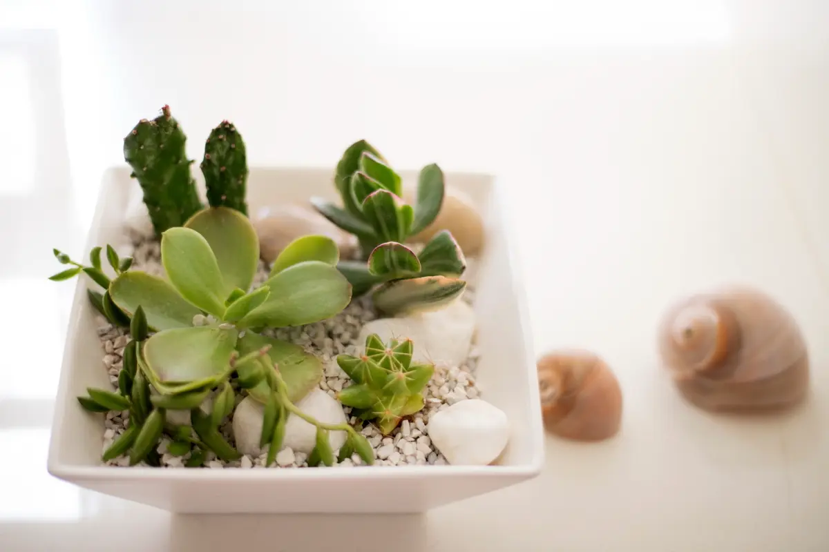 大小さまざまなグリーンが