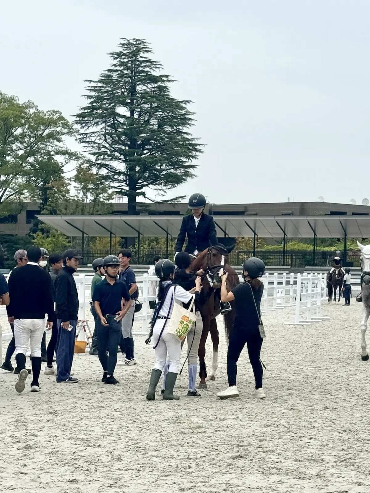 旬の『ブラウン』コーディネート！の画像_4