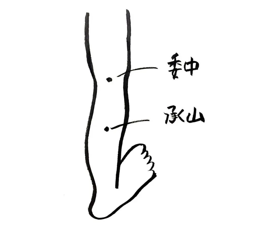 OurAge×Webエクラ