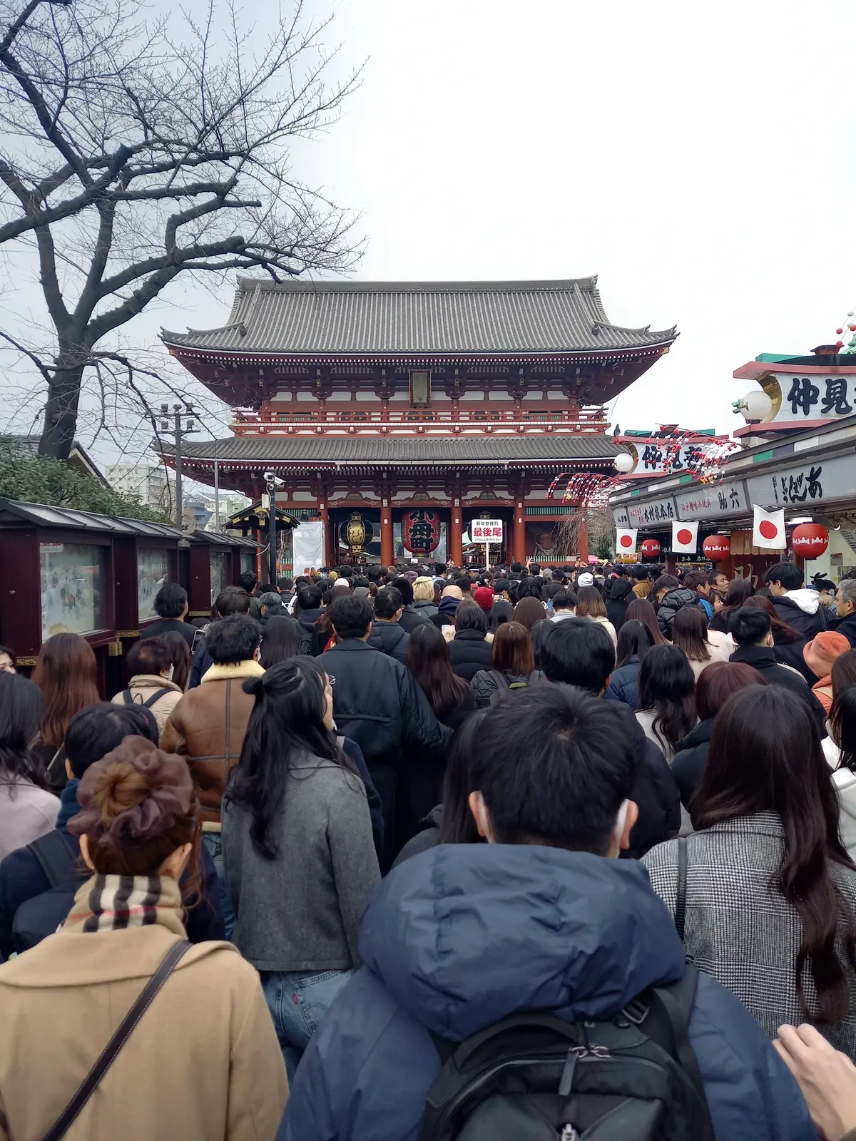 占い当たって反省からスタートの【2024の画像_1