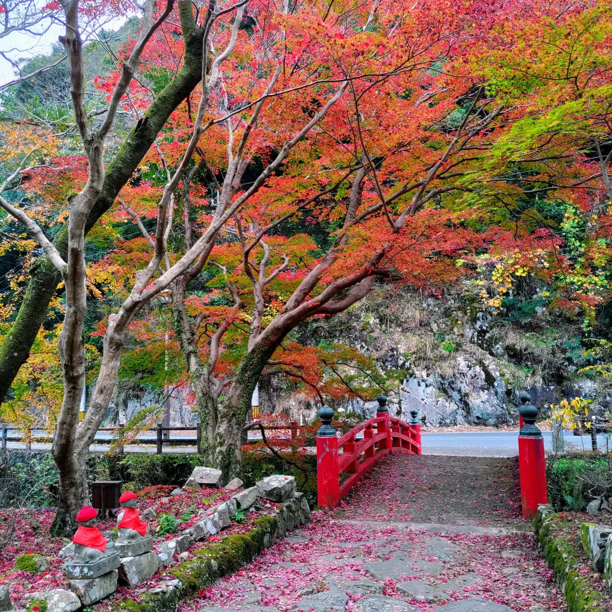 『紅葉とワッフル』の画像_3