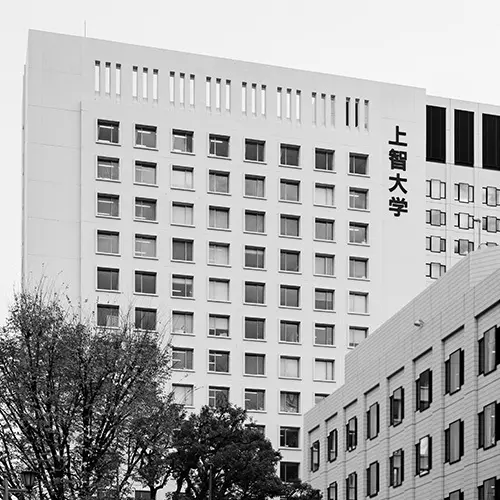 アラフィー世代も、大学・大学院へ！ 現役の画像_2