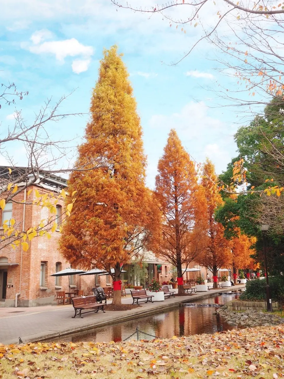 ジレコーデで華やかな洋食器の世界へ！の画像_10