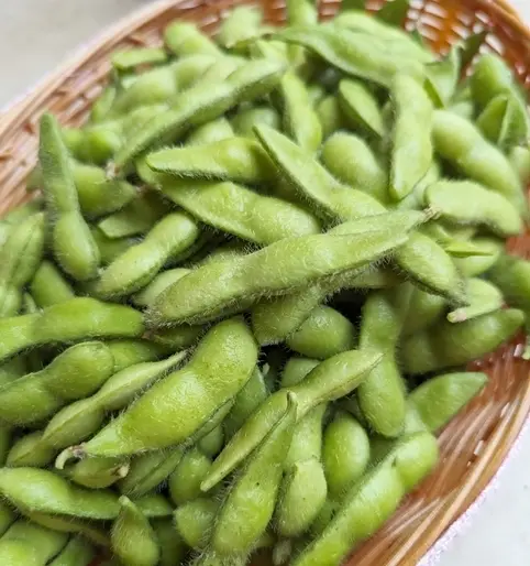 家庭菜園　枝豆