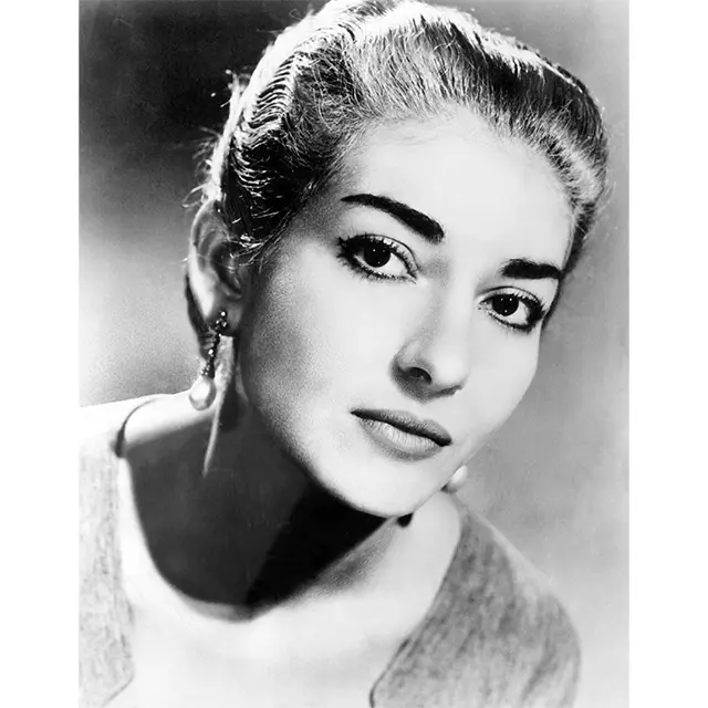 歌に生き、恋に生き……芸術にすべてを捧げの画像_1