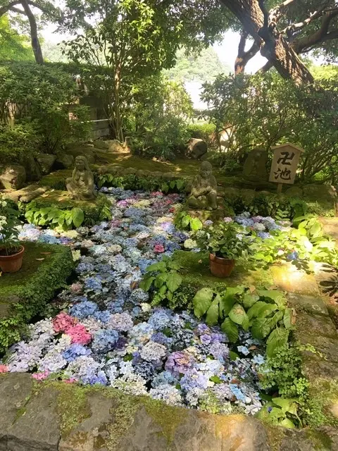 初夏のオトナの鎌倉散歩の画像_6