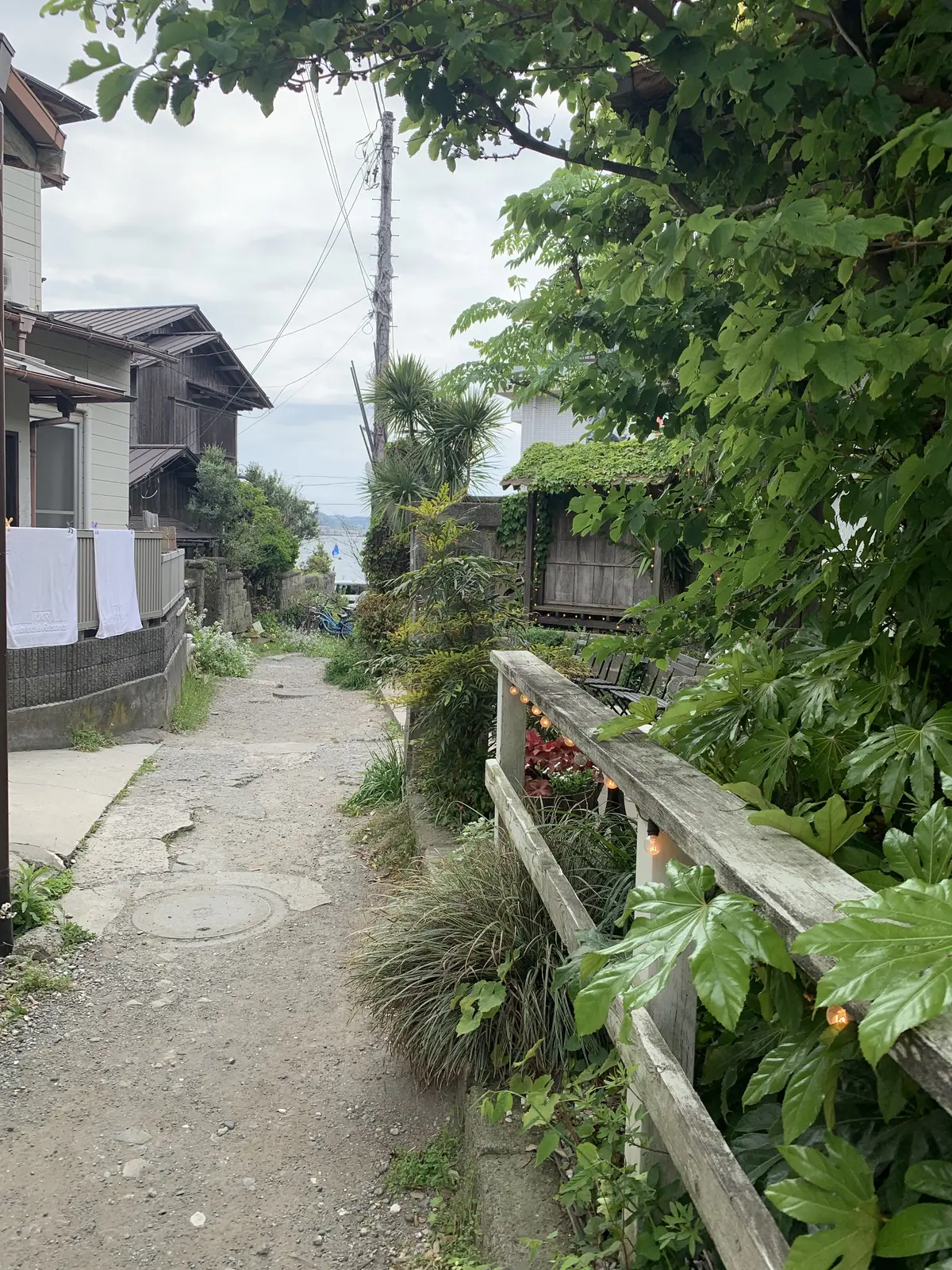 カフェ坂の下 鎌倉 古民家カフェ巡り③の画像_6