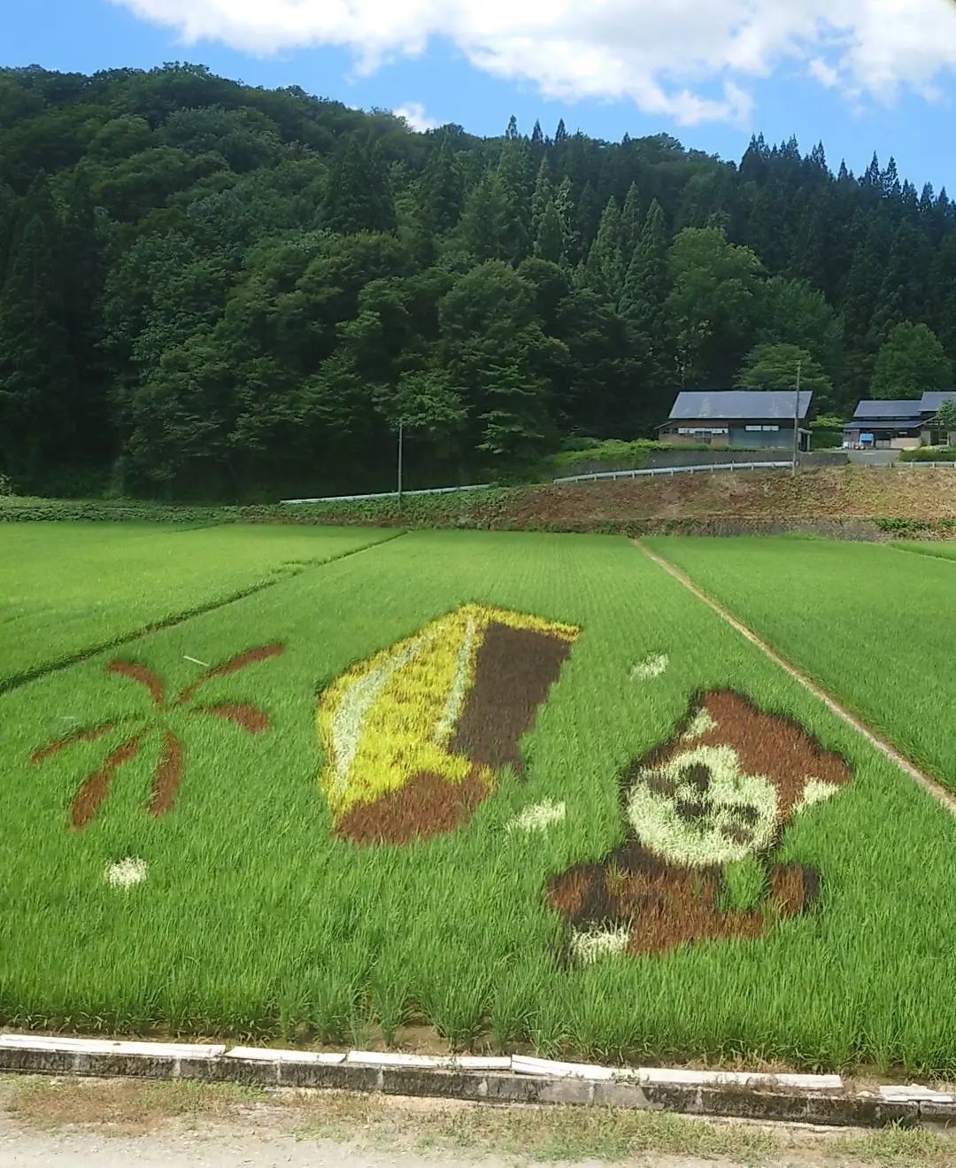 内陸線田んぼアート「願いを込めて」