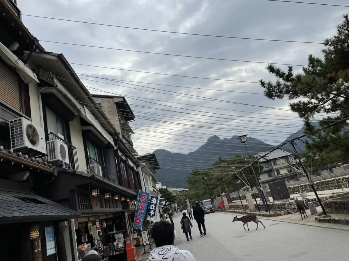 安芸の宮島旅の画像_9