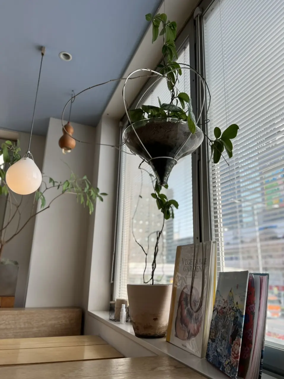 1人ランチでカラダの成績表について考えるの画像_9