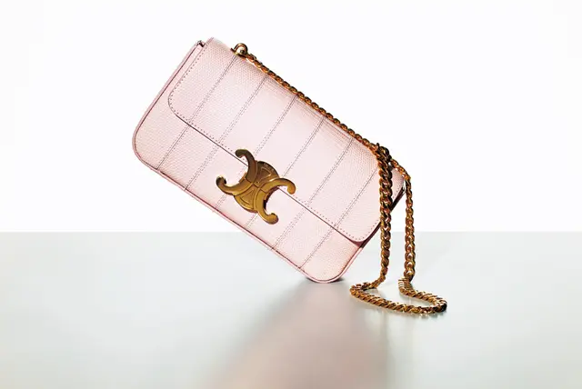 セリーヌのサマーバッグ